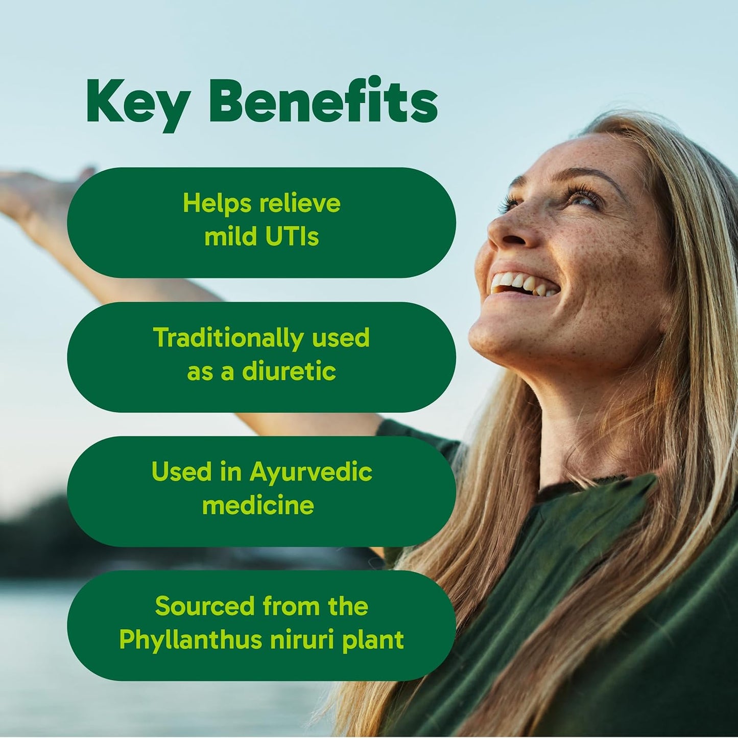 Organika 加拿大制造 Chanca Piedra 500 毫克 - 尿路感染支持 | 肾脏、胆囊和泌尿支持，清洁 - 90 粒素食胶囊