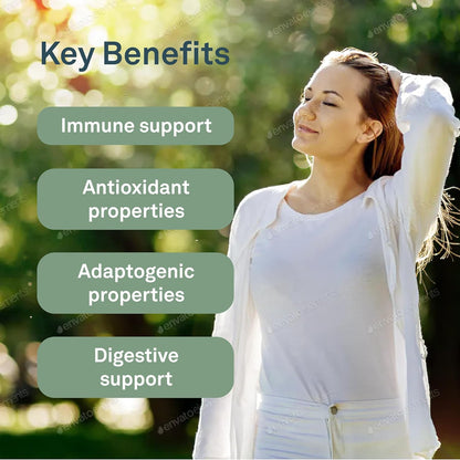 Organika 火雞尾蘑菇 - 有機 450 毫克 10:1 萃取物 - 免疫支持 - 90 粒膠囊