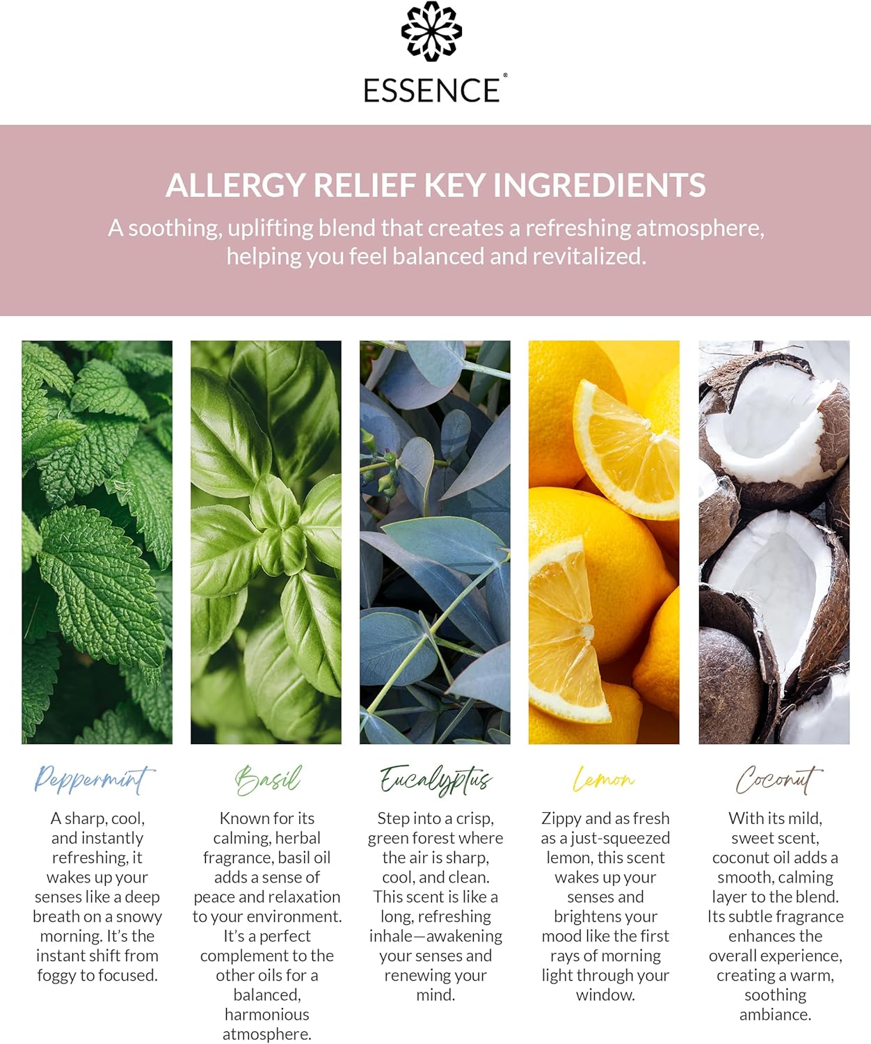 Essence 鼻腔擴散器 | 精油環 | 矽膠鼻吸入器（緩解過敏） - 3 件裝（僅環）