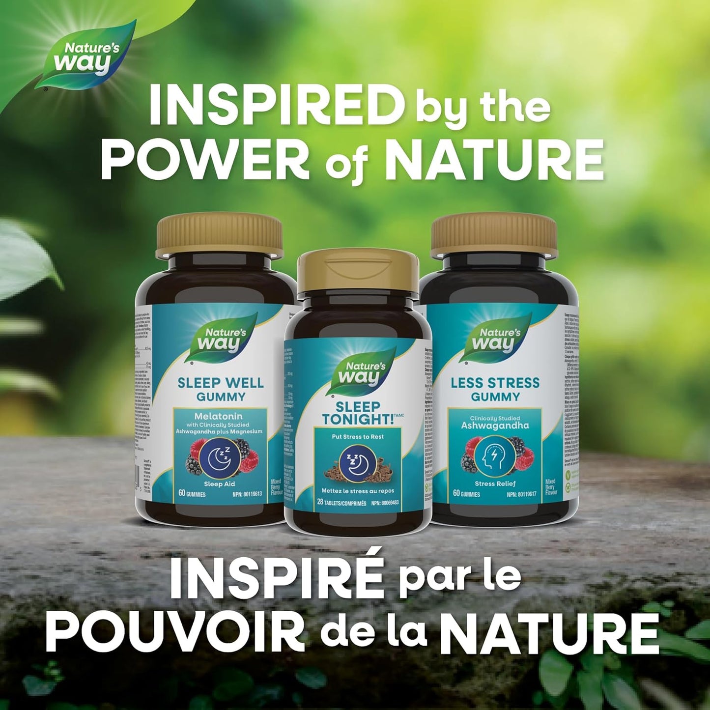 Nature's Way Sleep Tonight Stress Relief Formula – Reduce Stress Symptoms Like Fatigue, Sleeplessness, Inability to Concentrate- Helps Lower Cortisol, C-Reactive Protein Levels – 28 Vegetarian Tablets