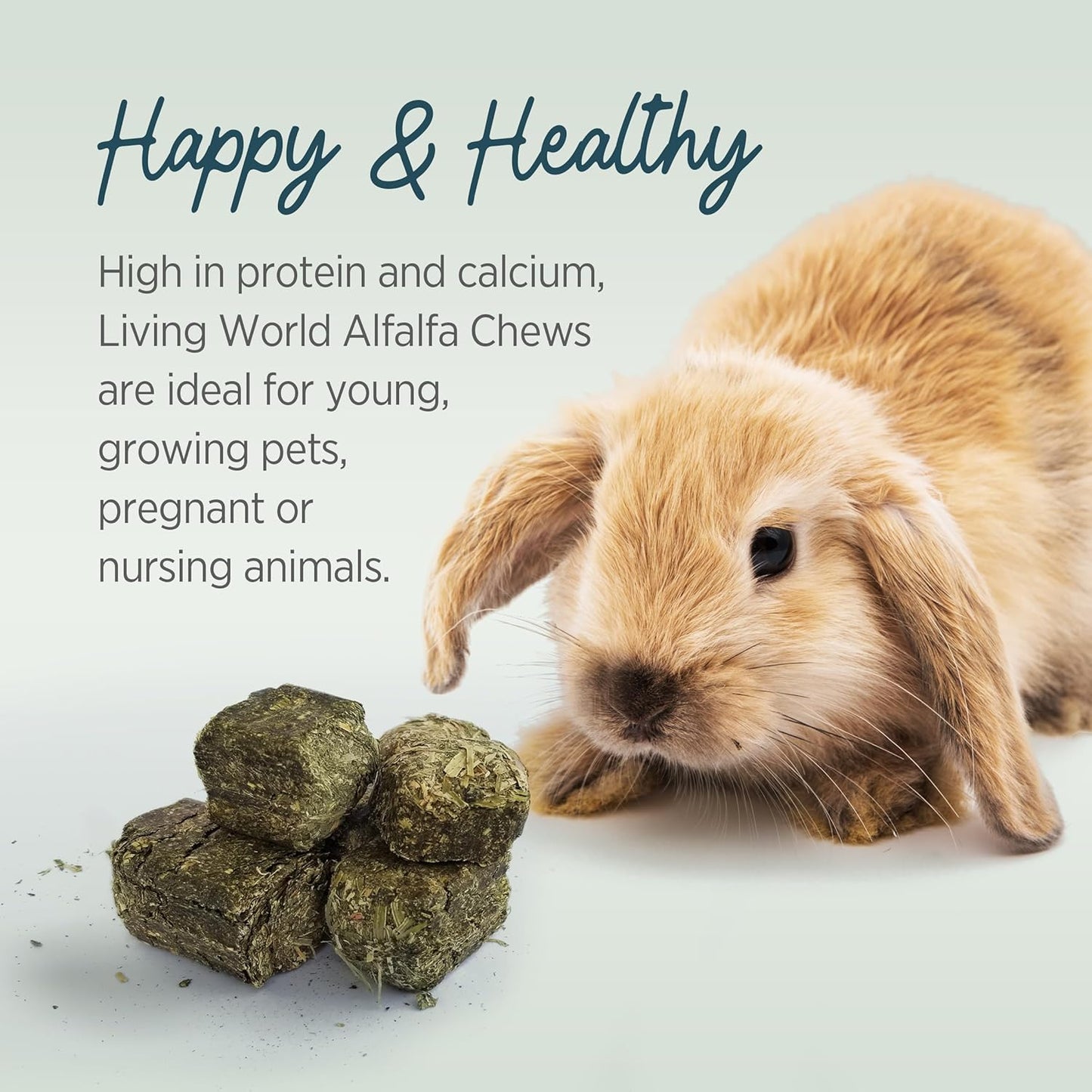 Living World 加拿大苜蓿咀嚼片 - 454克