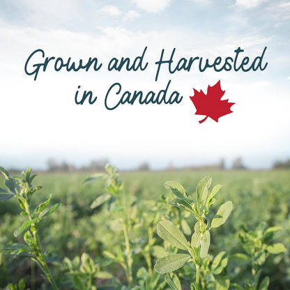 Living World 加拿大苜蓿咀嚼片 - 454克