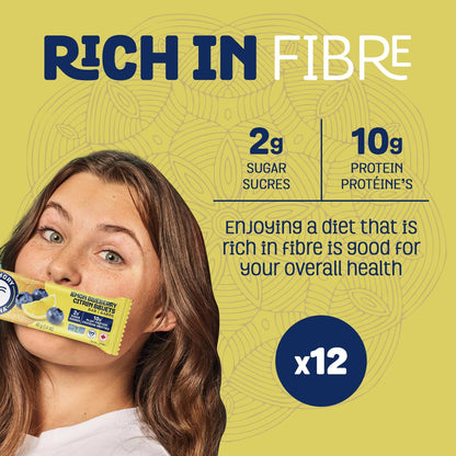 HUNGRY BUDDHA 植物蛋白棒，低糖，高蛋白能量零食，不含乳制品和花生，12 包，柠檬蓝莓味