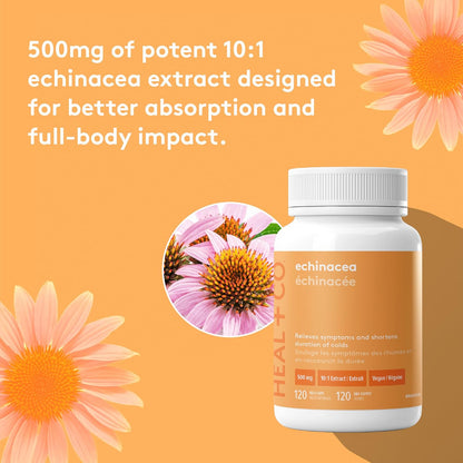 HEAL + CO. 紫锥菊补充剂 | 高效 10:1 提取物，每份 5000 毫克 | 免疫支持 | 120 x 500 毫克胶囊
