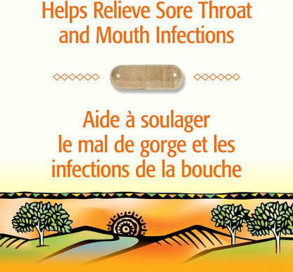 Holista 蜂膠 500 毫克，80 粒膠囊，抗氧化劑，有益健康