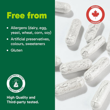 Organika L-茶氨酸 90 粒素食膠囊