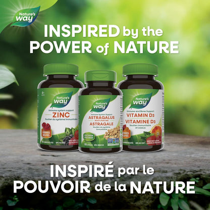 Nature's Way 黄芪根，免疫系统支持，100 粒素食胶囊