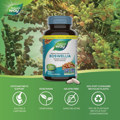Nature's Way Boswellia, Helps Relieve Osteoarthritic Pain, 120 Vegetarian Tablets, Value Size