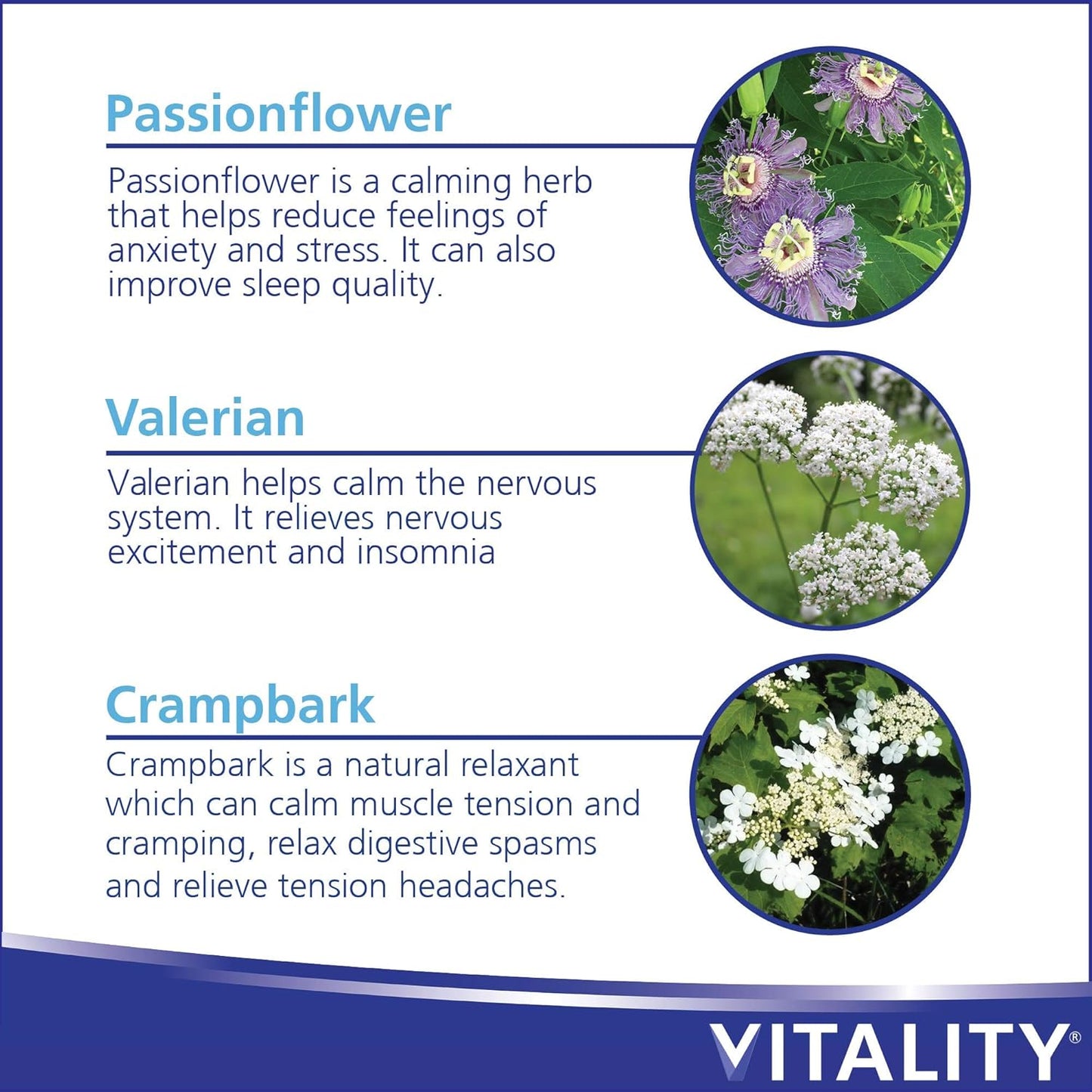 VITALITY Relax+ 全草本補充品 - 60 片