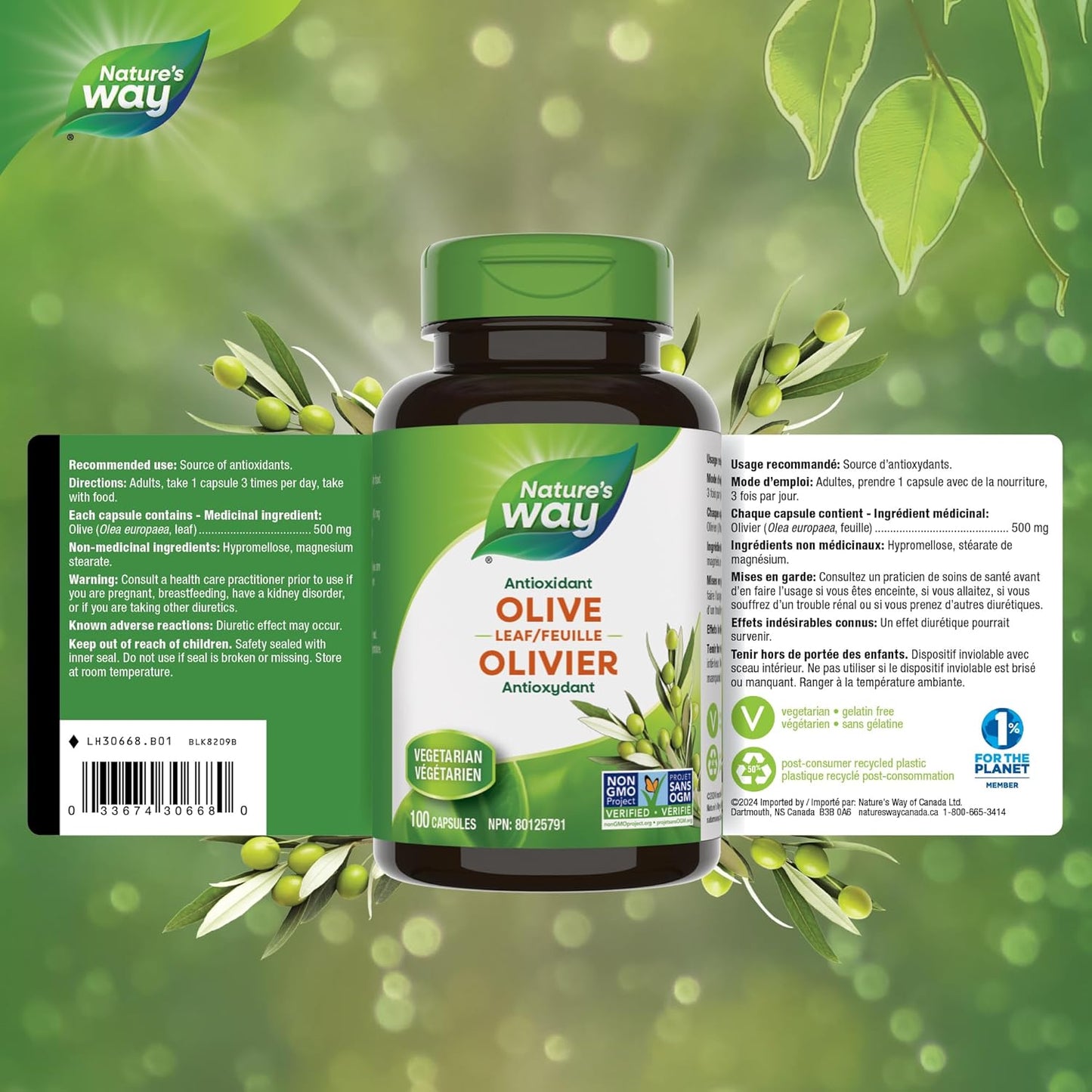 Nature's Way 橄榄叶胶囊 - 抗氧化剂，用于维护整体健康 - 每粒胶囊含 500 毫克橄榄叶，100 粒素食胶囊