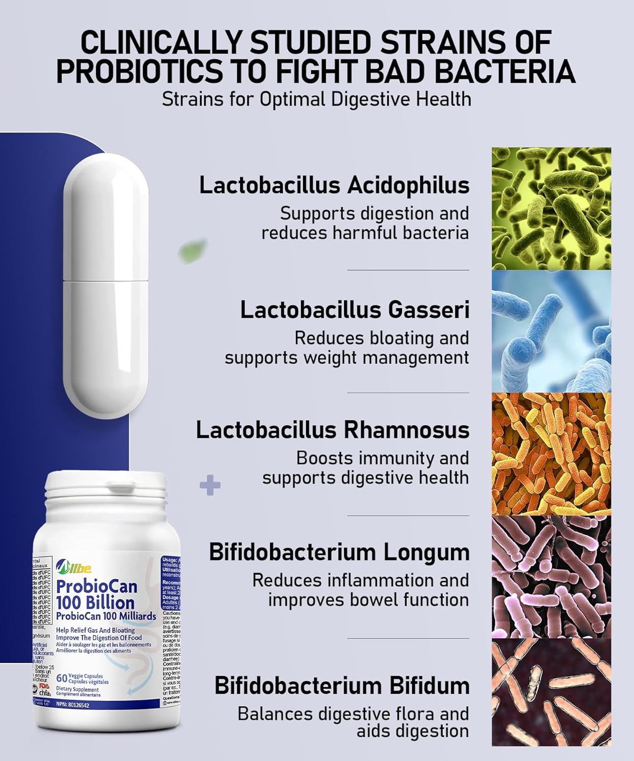 ALLBE ProbioCan 1000 亿 CFU - 含 11 种菌株的男性和女性每日益生菌 - 嗜酸乳杆菌和加氏乳杆菌 - 肠道健康和缓解腹胀 - 保质期长、纯素、非转基因 60 粒胶囊