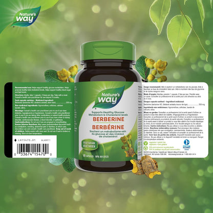 Nature’s Way 小檗碱，含 500 毫克盐酸小檗碱，有助于维持健康的葡萄糖代谢和总胆固醇水平，素食，60 粒胶囊