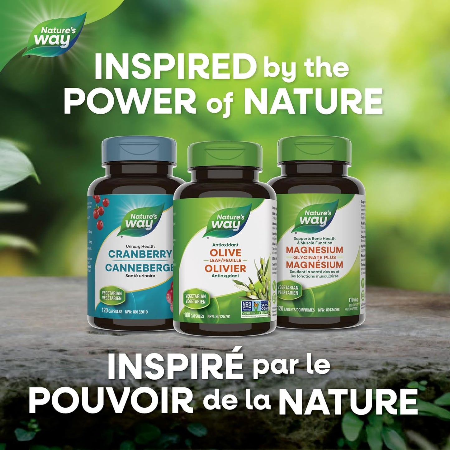 Nature's Way 橄榄叶胶囊 - 抗氧化剂，用于维护整体健康 - 每粒胶囊含 500 毫克橄榄叶，100 粒素食胶囊