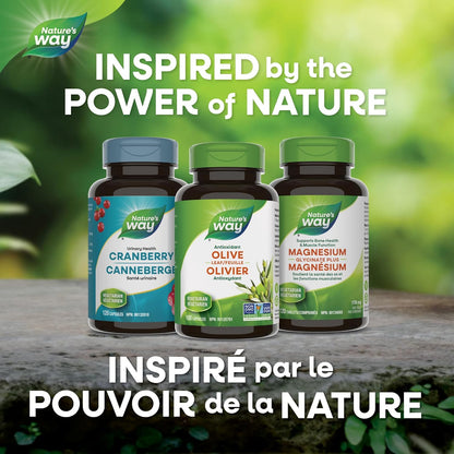 Nature's Way 橄榄叶胶囊 - 抗氧化剂，用于维护整体健康 - 每粒胶囊含 500 毫克橄榄叶，100 粒素食胶囊