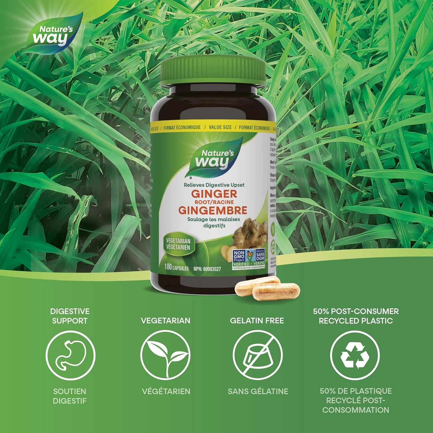 Nature's Way 薑根 – 傳統消化支持補充劑 – 用於草藥，幫助緩解消化不良 – 非基因改造 – 180 粒素食膠囊，超值裝