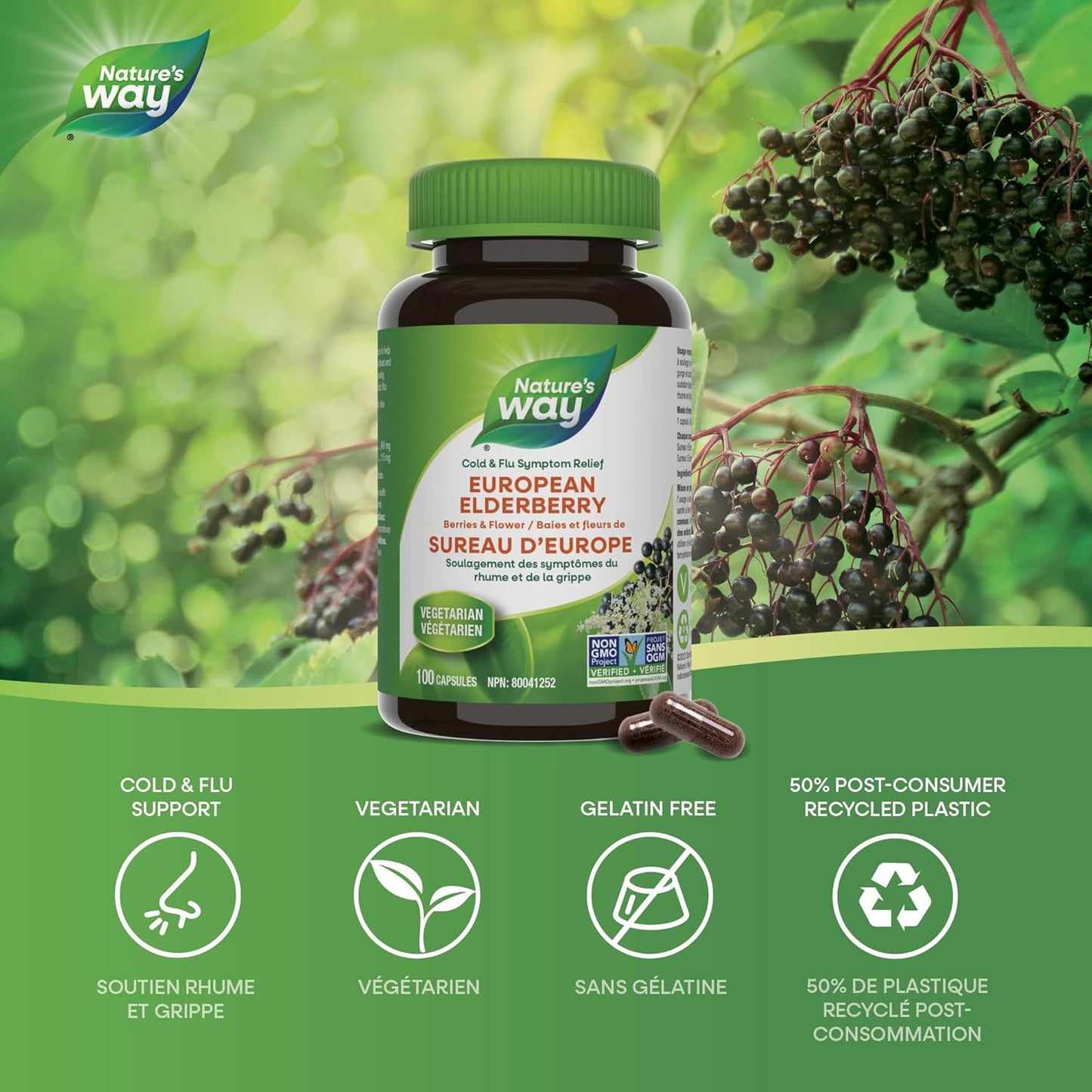 Nature's Way 欧洲接骨木胶囊 - 缓解感冒和流感症状 - 咳嗽、咽喉痛支持补充剂 - 接骨木浆果和花 - 非转基因认证 - 素食 - 成人和儿童适用 - 100 粒胶囊