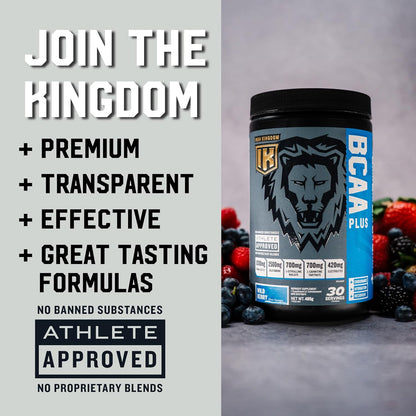 IRON KINGDOM BCAA PLUS WILD BERRY 10.1克 胺基酸、電解質、麩醯胺酸、耐力、恢復、補水