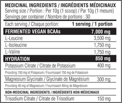 Believe 补充电解质+BCAA：通过支链氨基酸和必需电解质优化补水和肌肉恢复 - 立即提升运动表现并补充重要营养素！（酸桃味）