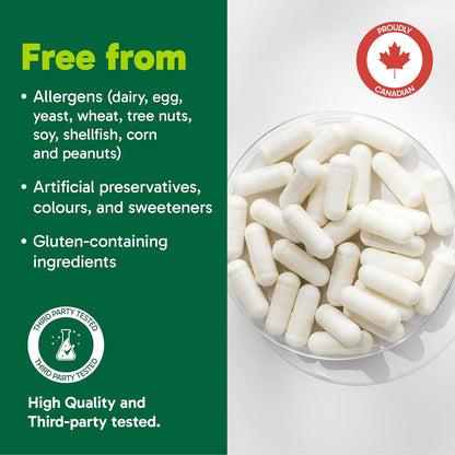 Organika 增強型膠原蛋白膠囊 - 有益於頭髮、皮膚、指甲和關節健康 - 水解，吸收更佳 - 草飼，非基因改造 - 240 粒膠囊