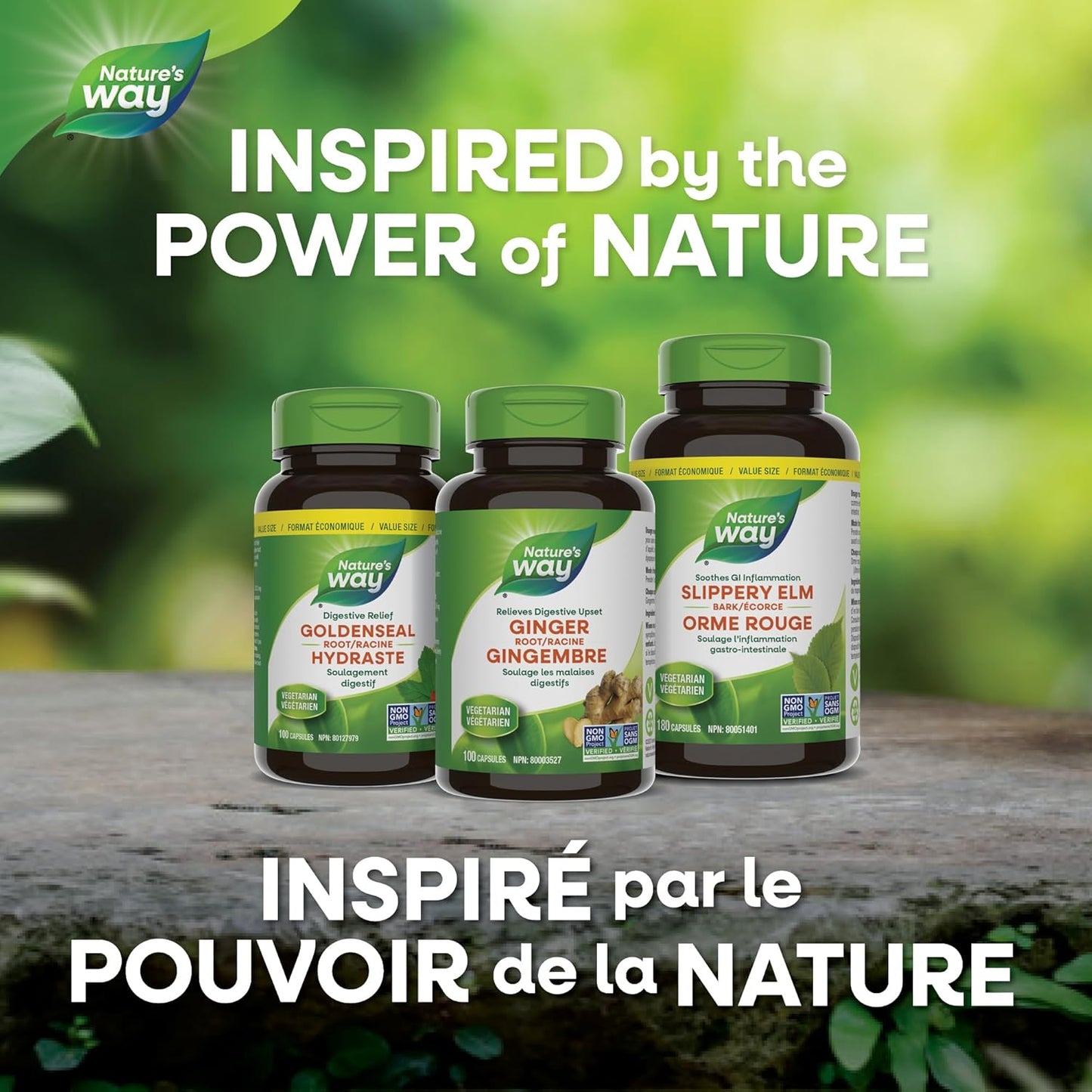 Nature's Way 蒲公英根消化补充剂 - 刺激食欲并增加胆汁流量 - 食欲刺激剂 - 非转基因认证 - 100 粒素食胶囊