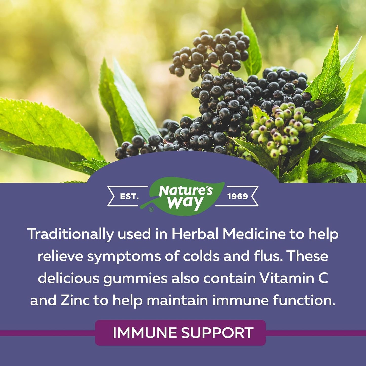 Nature's Way 接骨木免疫原味感冒和流感護理接骨木軟糖，含維生素 C 和鋅 & 接骨木感冒和流感護理原味 - 草藥中使用的接骨木糖漿