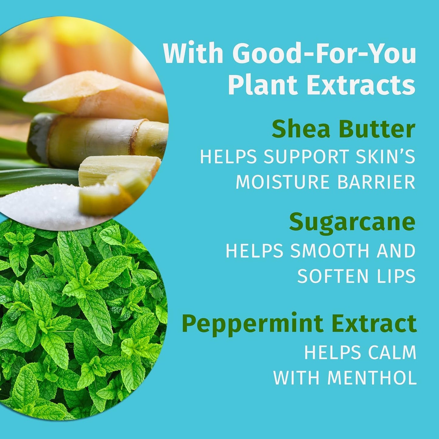 Hempz Crushed Peppermint Sugar Herbal Lip Balm .44 oz