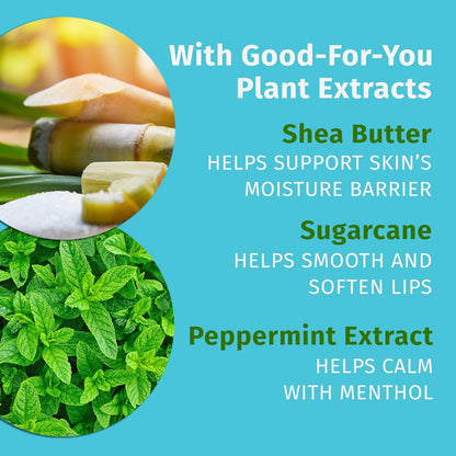 Hempz Crushed Peppermint Sugar Herbal Lip Balm .44 oz