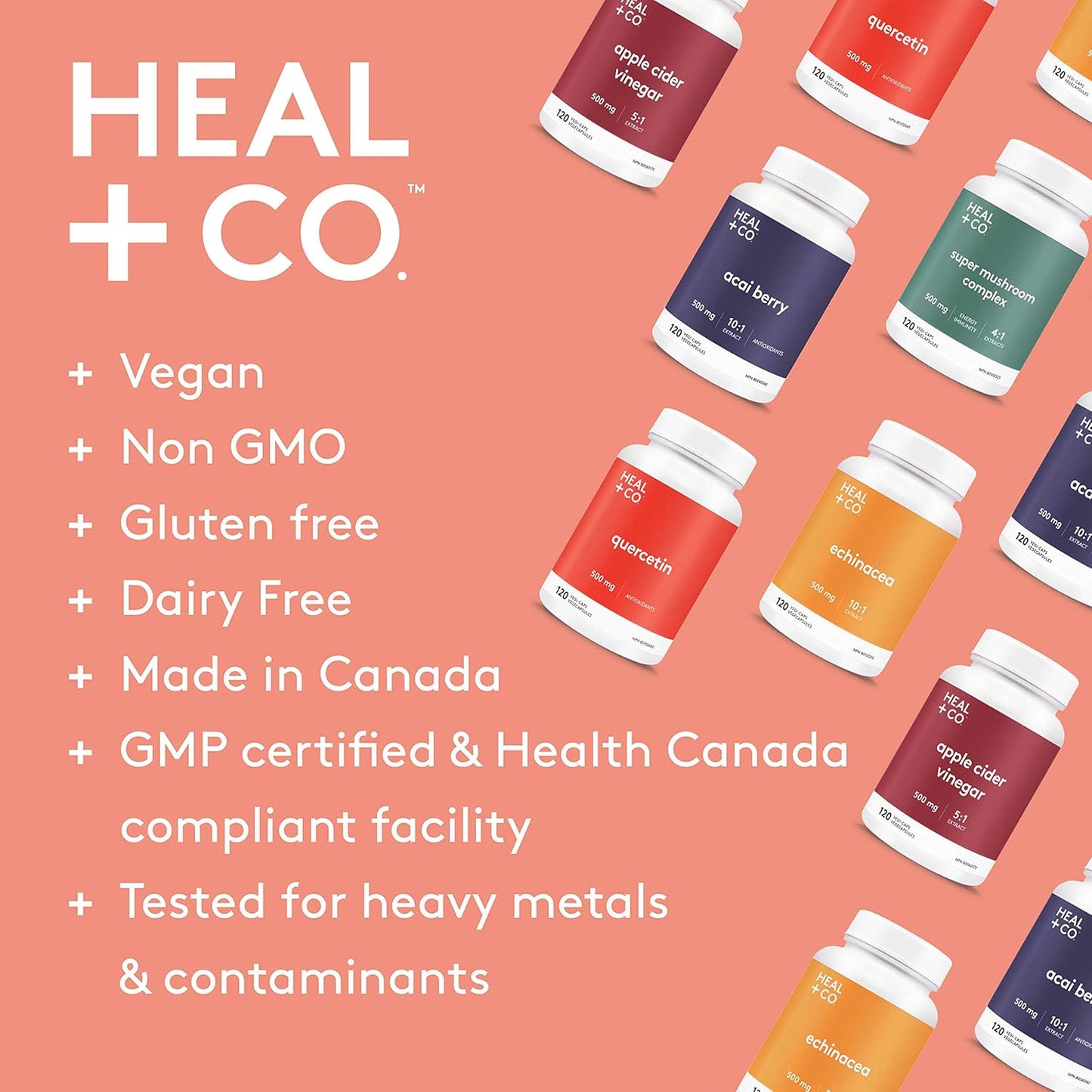 HEAL + CO. 南非醉茄補充劑 | 高效 5:1 萃取物，每份 5000 毫克 | 緩解壓力 + 補充能量 | 120 粒 500 毫克膠囊