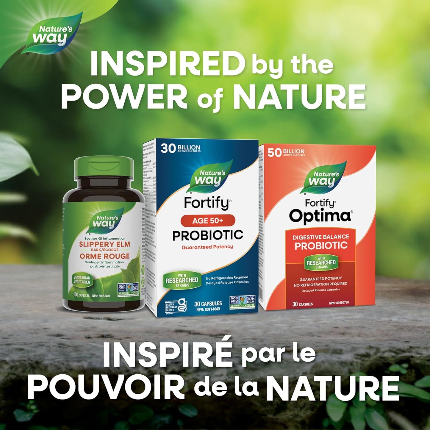 Nature's Way Fortify 50+ Probiotic, 30 Billion Active Probiotic Cultures, Supports Gastrointestinal Health, Gluten-Free Certified, Shelf Stable, 30 Capsules