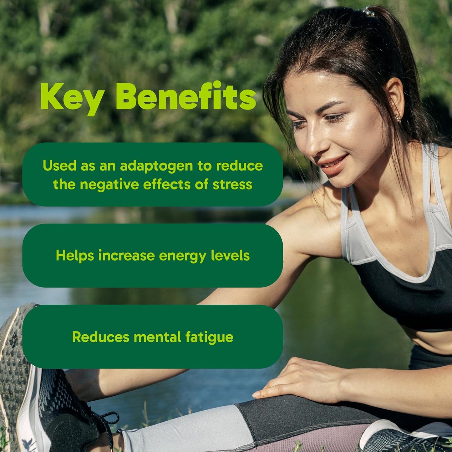 Organika 韩国红参 - 6 年根，补充能量，缓解压力，保暖效果 - 100 粒