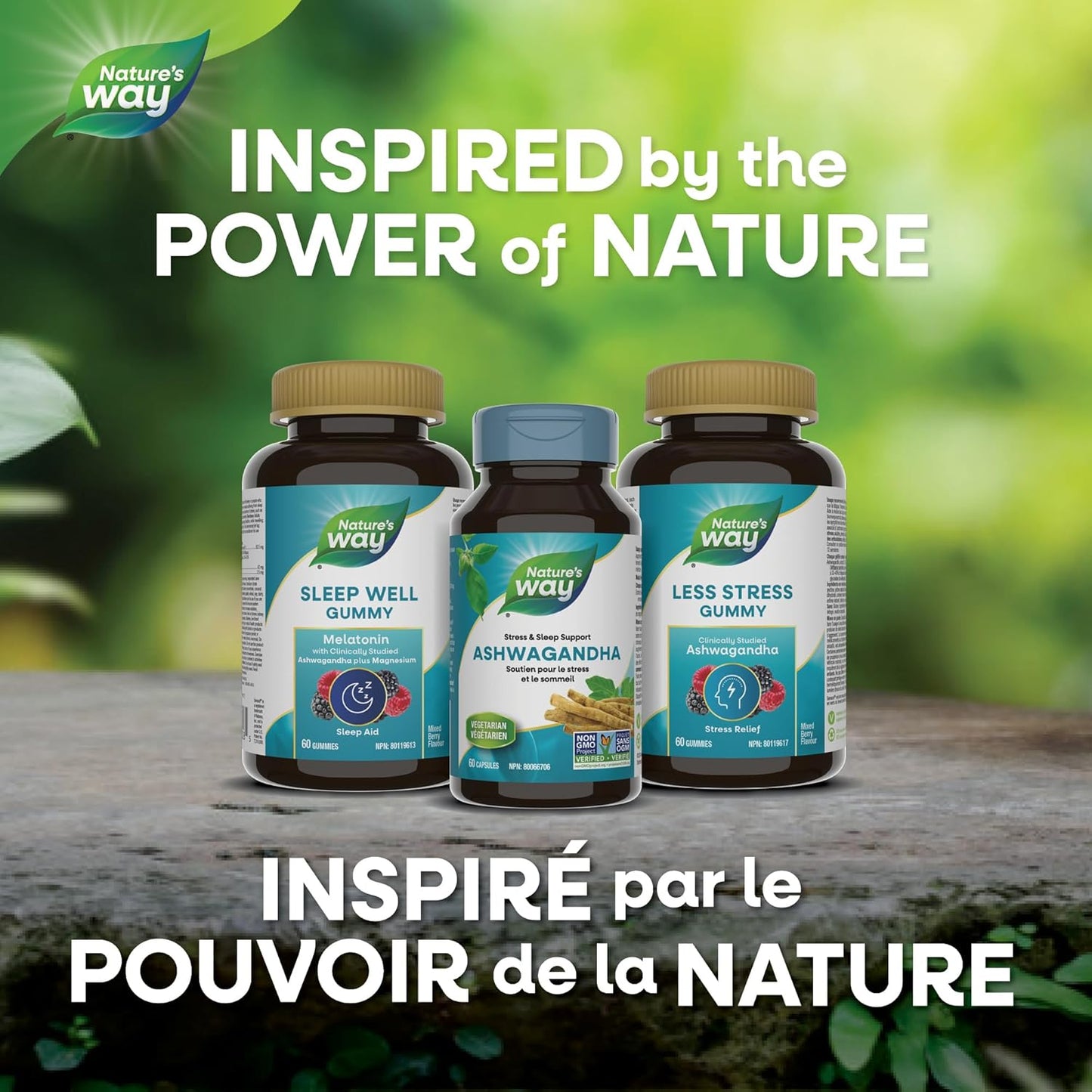 Nature’s Way Ashwagandha – 500 mg Ashwagandha Root Extract – Stress & Sleep Support – 60 Vegetarian Capsules, Non-GMO