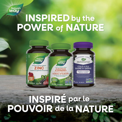 Nature's Way 欧洲接骨木胶囊 - 缓解感冒和流感症状 - 咳嗽、咽喉痛支持补充剂 - 接骨木浆果和花 - 非转基因认证 - 素食 - 成人和儿童适用 - 100 粒胶囊