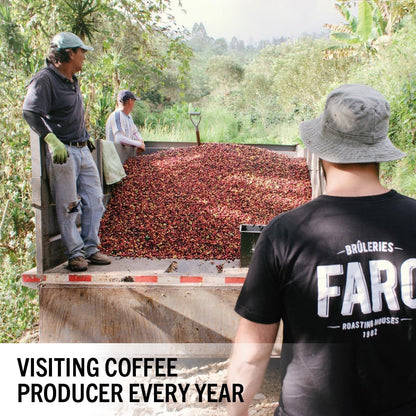 Café FARO VOLT 特色咖啡，深度烘焙研磨咖啡，濃鬱醇厚的風味，美國農業部公平貿易和猶太潔食認證有機咖啡，產自南美和中美洲的研磨咖啡 - (908克/32盎司)