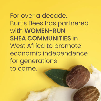 Burt's Bees Shea Lip Balm for Dry Chapped Lips | Conditioning Lip Treatment | Lip Care for Soft, Smooth Lips, Pack of 1 - Coconut Oil