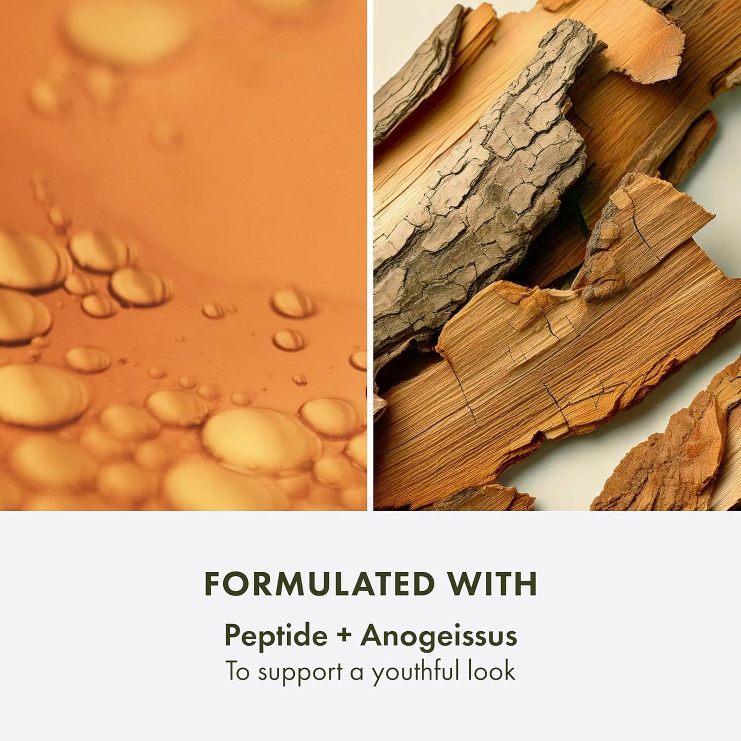 Origins Plantscription SPF 25 Power Anti-Aging Cream | Visibly Reduces Fine Lines | With Peptides & Hyaluronic Acid, 50 ml