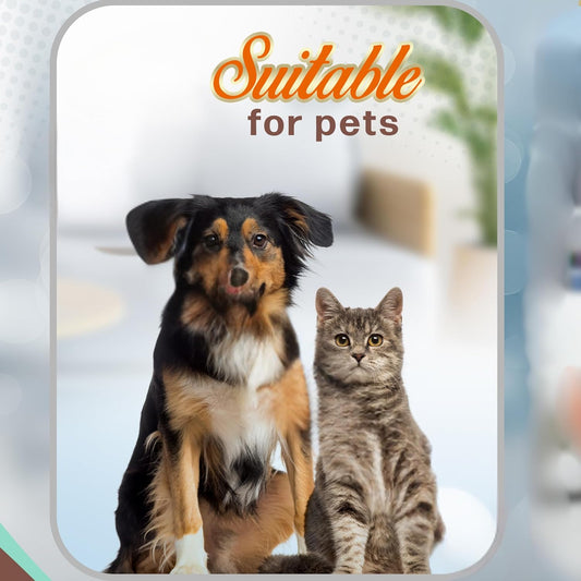 Bussani 儿童及成人除虱梳 – 不锈钢虱卵梳，有效去除头虱及虱卵 – 防锈、可重复使用、温和 – 适用于所有发质