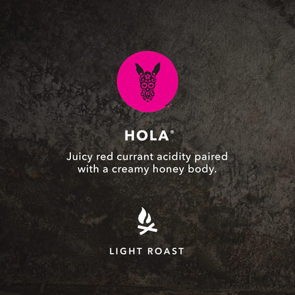 Kicking Horse Coffee，Three Sisters，中度烘焙，研磨，284 克 - 有机认证、公平贸易、犹太洁食 Coffee & Hola，轻度烘焙，研磨，284 克 - 有机认证、公平贸易、犹太洁食 Coffee