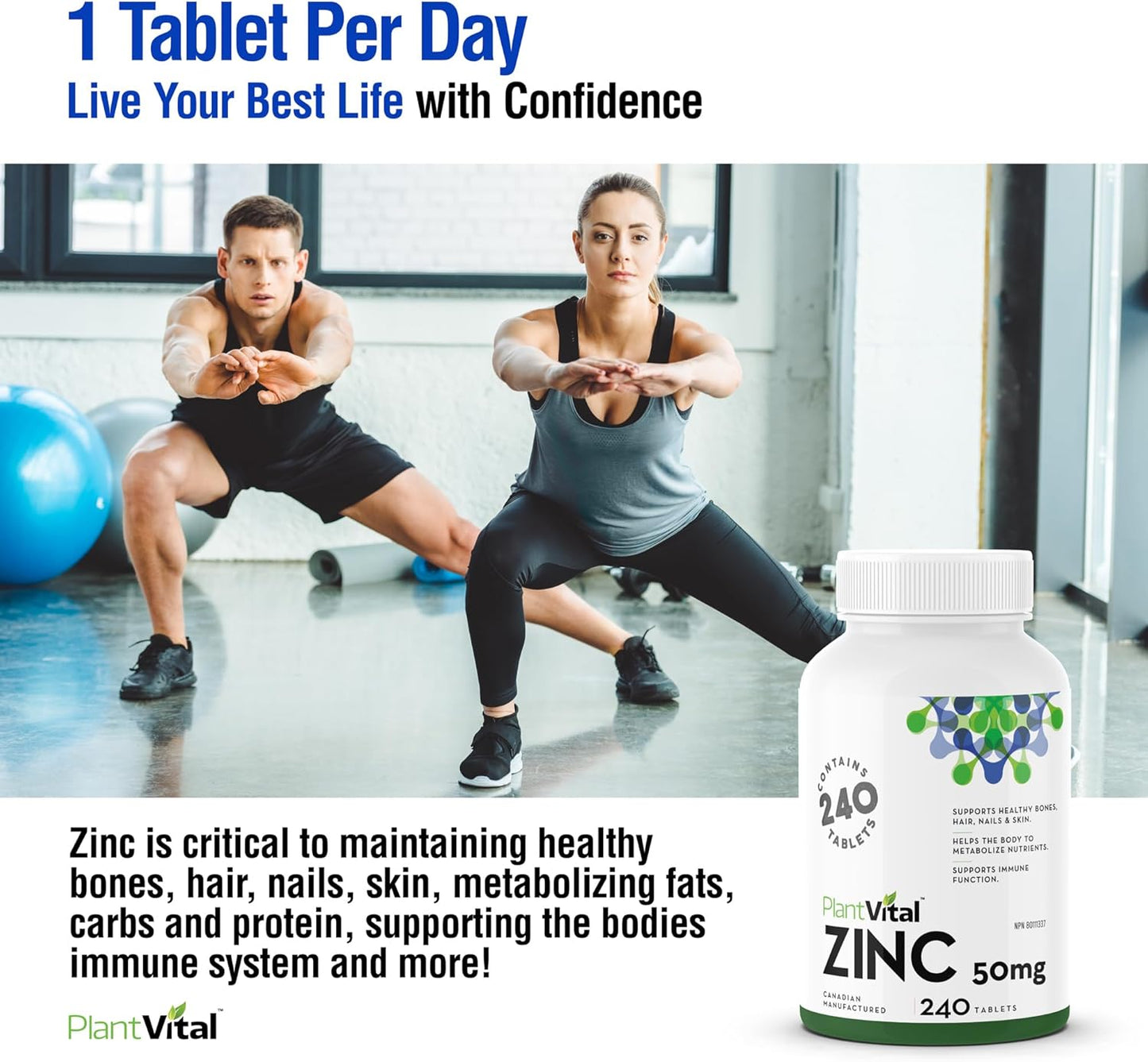 PlantVital Zinc Supplements - Made in Canada - 50mg (240 Count) - Immune Support, Healthy Bones, Hair, Nail and Skin with Zinc Gluconate 50mg - Made in Canada - Additive-Free - 240 Zinc Tablets