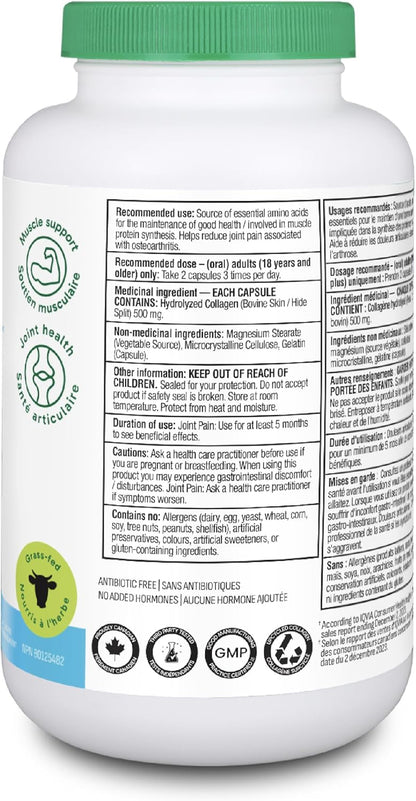 Organika 增強型膠原蛋白膠囊 - 有益於頭髮、皮膚、指甲和關節健康 - 水解，吸收更佳 - 草飼，非基因改造 - 240 粒膠囊