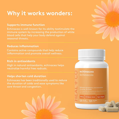 HEAL + CO. 紫锥菊补充剂 | 高效 10:1 提取物，每份 5000 毫克 | 免疫支持 | 120 x 500 毫克胶囊