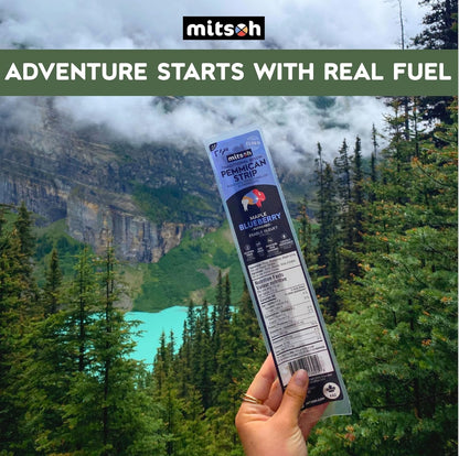 野牛藍莓肉乾零食 | 原住民超級食物 | 採用草飼野牛製成 | 加拿大原住民所有 | 高蛋白、無麩質、無大豆，4 包