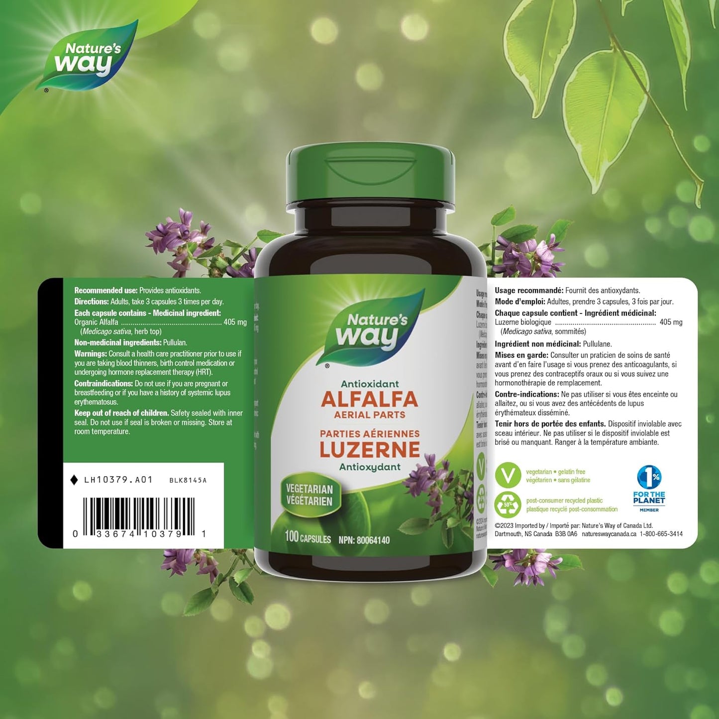 Nature's Way 苜蓿叶，提供抗氧化剂，有助于维持整体健康和福祉，100 粒素食胶囊