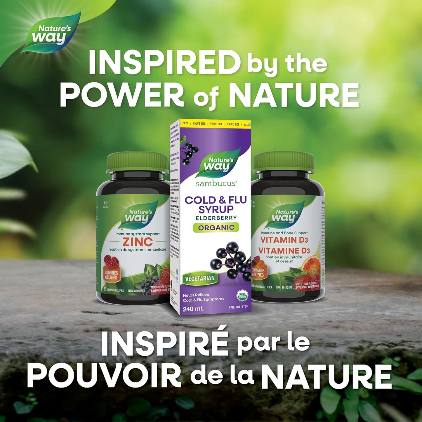 Nature's Way 有机接骨木糖浆感冒和流感护理 - 草药接骨木糖浆，帮助缓解成人症状（咳嗽和喉咙痛），240 毫升