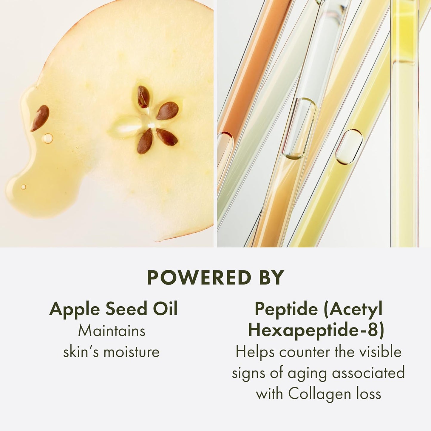 Origins Youthtopia Peptide Plumping Apple Moisturizer | Boosts Skin's Bounce & Plumps | With Peptides & Apple Stem Cells, 50 ml