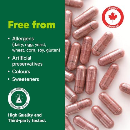 Organika 甜菜根有机 - 1400 毫克高效抗氧化剂，血压支持，一氧化二氮 + 运动表现 - 120 粒胶囊