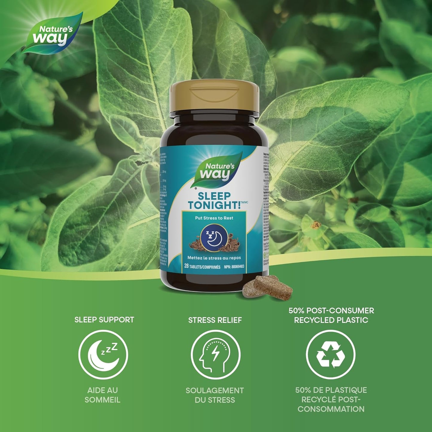 Nature's Way Sleep Tonight Stress Relief Formula – Reduce Stress Symptoms Like Fatigue, Sleeplessness, Inability to Concentrate- Helps Lower Cortisol, C-Reactive Protein Levels – 28 Vegetarian Tablets