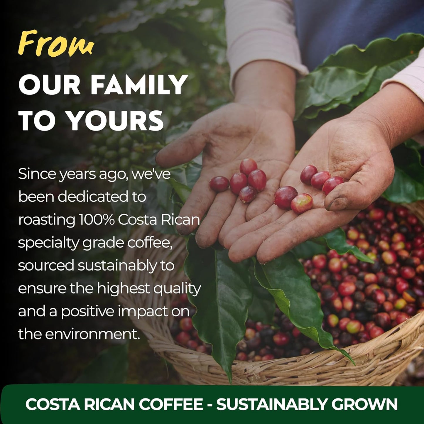 El Gusto San Marcos 研磨咖啡，中度烘焙，哥斯达黎加单一产地，250克