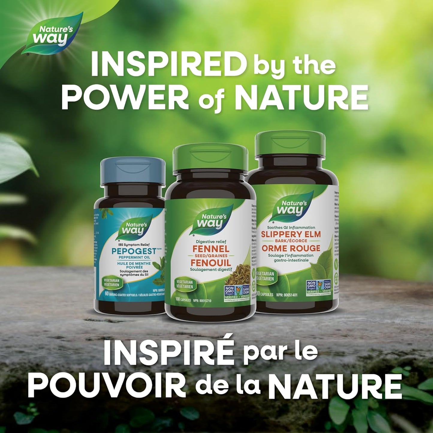 Nature's Way 优质茴香籽胶囊 - 草本助消化和止咳，素食，非转基因，100 粒