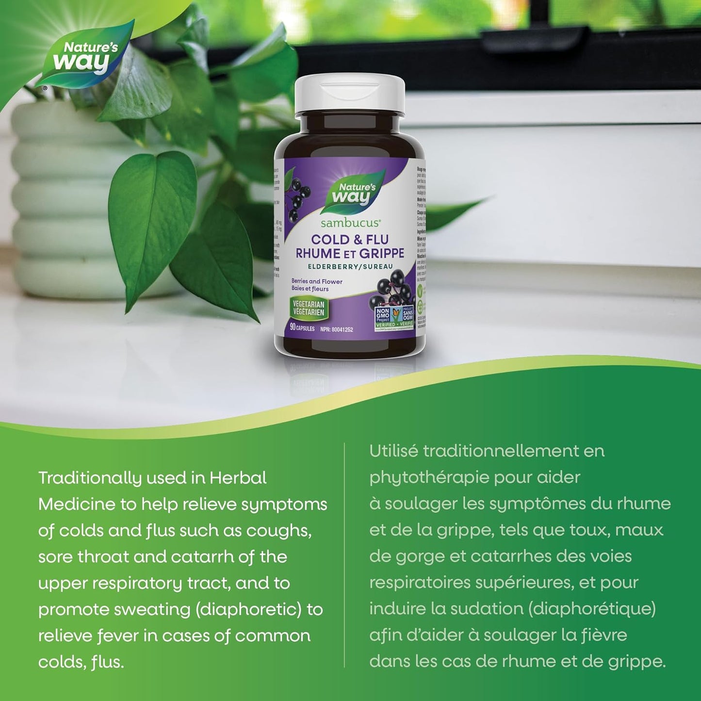 Sambucus Elderberry Cold and Flu Care Capsules, 90 Vegetarian Capsules, Non-GMO Project Verified