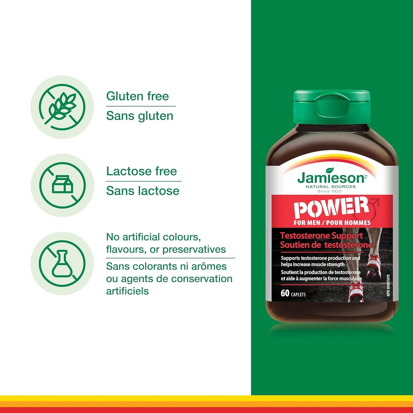 Jamieson 男士強效素食膠囊，含胡蘆巴、鋅、天門冬胺酸鎂、維生素B6和β-丙胺酸。支持睾酮生成、肌肉力量和恢復，無麩質，60粒，加拿大製造
